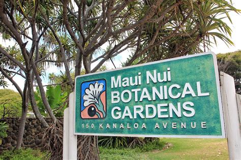 Maui nui botanical gardens - There, Earth Day is every day. 150 Kanaloa Avenue, Keopuolani Park, Kahului. Mon – Sat, 8 a.m. – 4 p.m., weather permitting. Free admission. Discover how the nonprofit Maui …